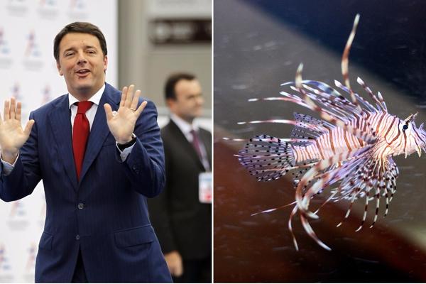 Riba iskočila iz reke i napala svetske lidere u čamcu u Kini, italijanski premijer Renci umalo upao u reku!