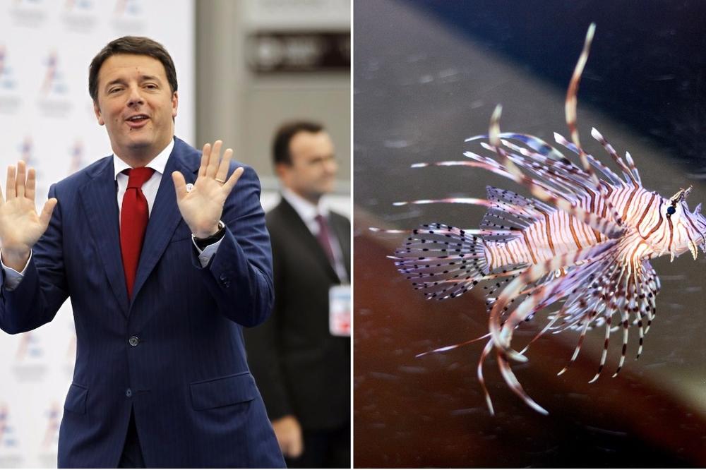 Riba iskočila iz reke i napala svetske lidere u čamcu u Kini, italijanski premijer Renci umalo upao u reku!