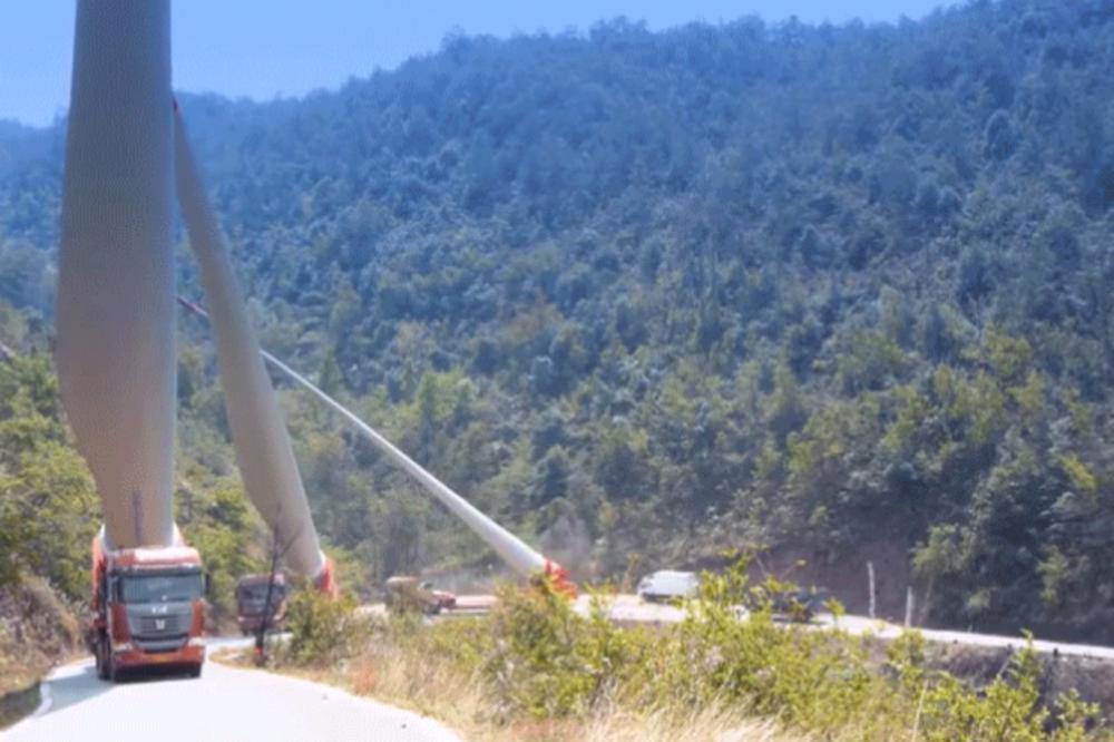 Kinezi kao mravi: Em vredni, em prenose stvari isto kao oni (VIDEO)