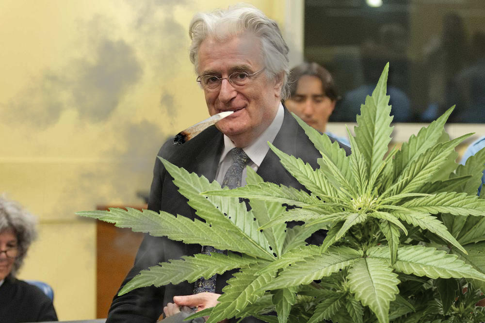 Karadžić dominira: Bio je dr Dabić, a potom planirao biznis sa kanabisom!