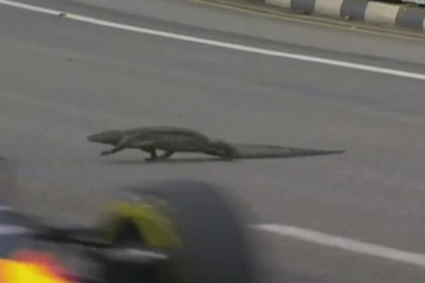 E, sad smo sve videli! Godzila učestvuje u trci Formule 1! (VIDEO)