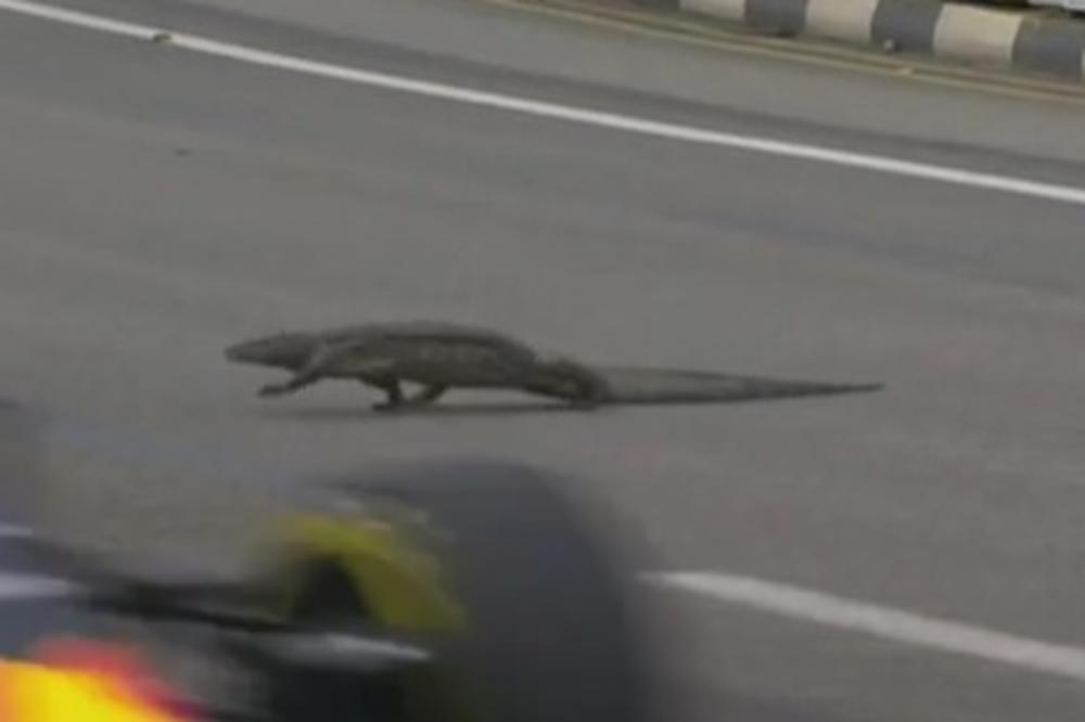 E, sad smo sve videli! Godzila učestvuje u trci Formule 1! (VIDEO)
