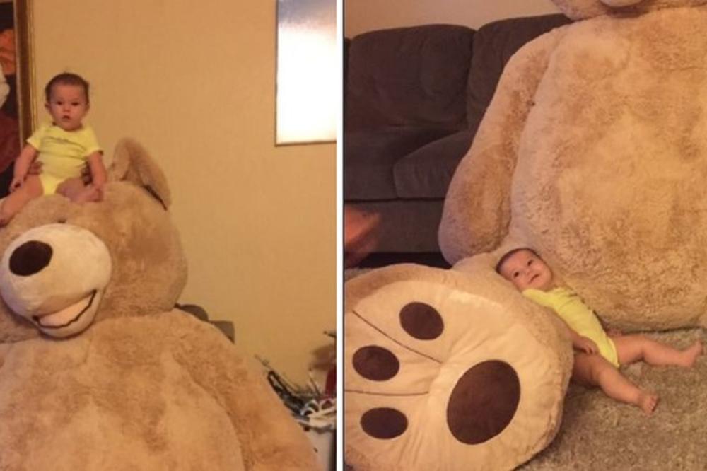 Medved koji je oborio internet: Deka car je kupio najvećeg na svetu! (FOTO)