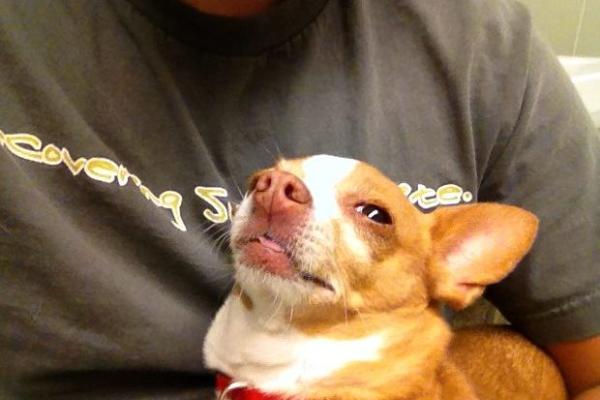 Odvalio se kod od šale: On je toliko naduvan da bi uzeo sve od priloga u pljeki! (FOTO) (VIDEO)