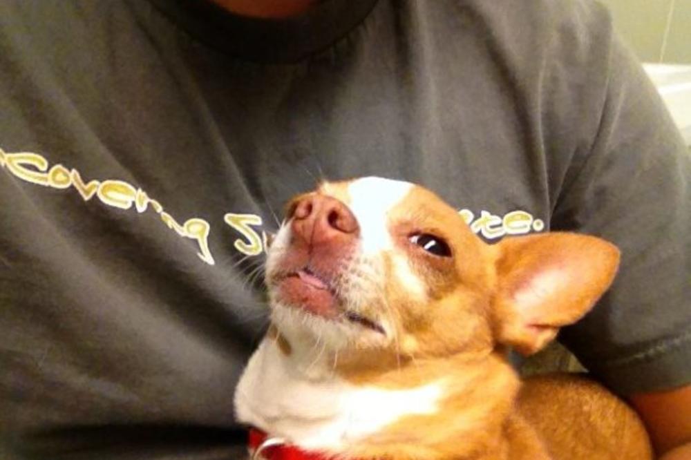 Odvalio se kod od šale: On je toliko naduvan da bi uzeo sve od priloga u pljeki! (FOTO) (VIDEO)