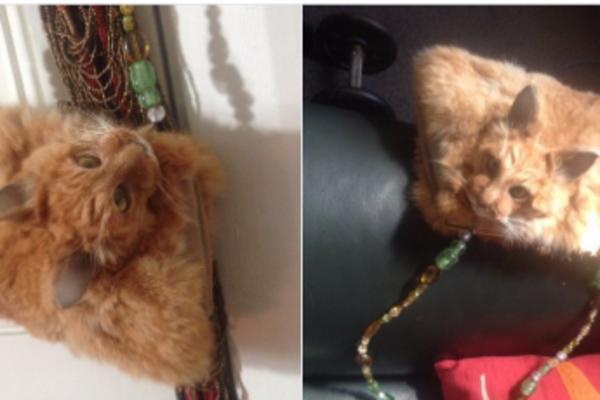 Ljudi, dokle ste spremni da idete?! Torba napravljena od mrtve mačke prodaje se za 1.400 dolara (FOTO)