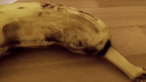 Kupili banane, dobili gomilu otrovnih paukova čiji ujed izaziva bolnu erekciju, pa smrt! (FOTO) (VIDEO)