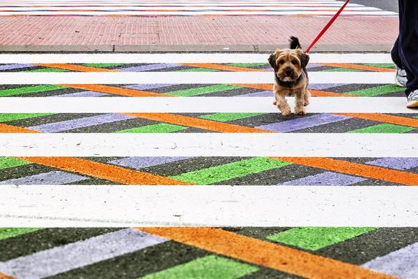 Rešio je da odvoji ljude od telefona na najbolji mogući način! (FOTO)