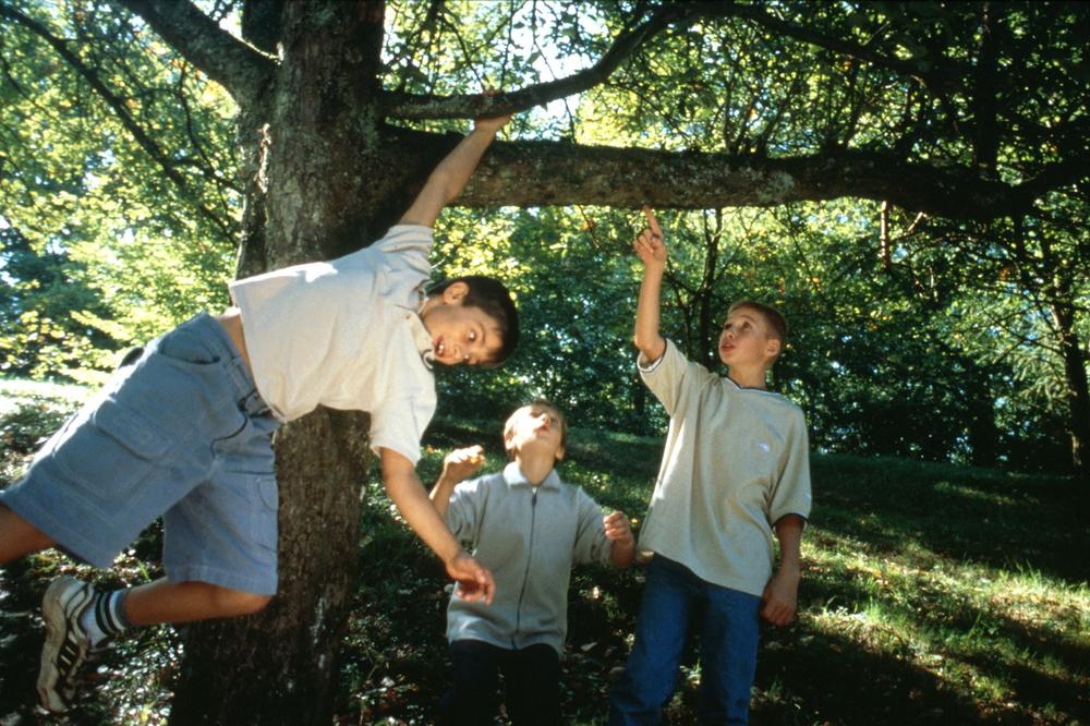 Koje od ove dece je ustaša, koje balija, a koje četnik? (FOTO)