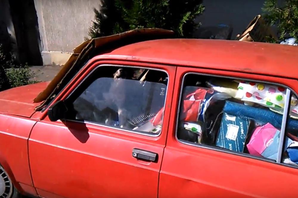 Posetili smo dvorište strave u Zemunu: Krvoločni psi šetaju po brdu đubreta, komšije očajne! (VIDEO)