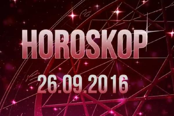 Ustaj spavalice, lep dan je pred tobom! Zar ćeš prespavati sve dobre prilike?! (VIDEO)