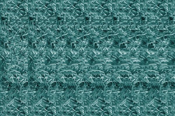 Samo 1% ljudi može da vidi delfina na ovoj slici! (FOTO)