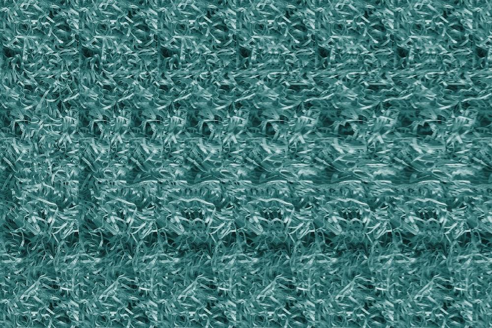 Samo 1% ljudi može da vidi delfina na ovoj slici! (FOTO)