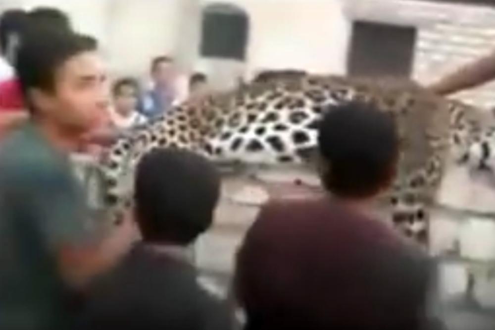 Šta je ovo, bre? Leopard ubio devojčicu (9), a narod lupao selfije! (FOTO) (VIDEO)