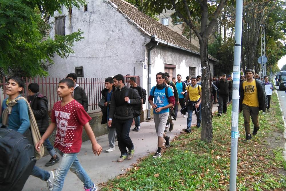 Migranti iz Beograda krenuli peške ka Hrvatskoj, prati ih policija!