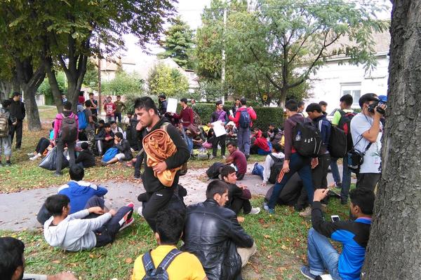 NISU USPELI DA UĐU U HR: Migranti iz Šida se vratili za Beograd!