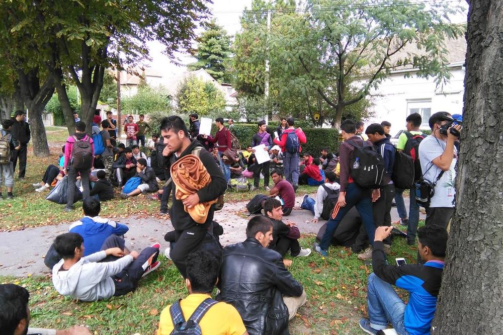 NISU USPELI DA UĐU U HR: Migranti iz Šida se vratili za Beograd!