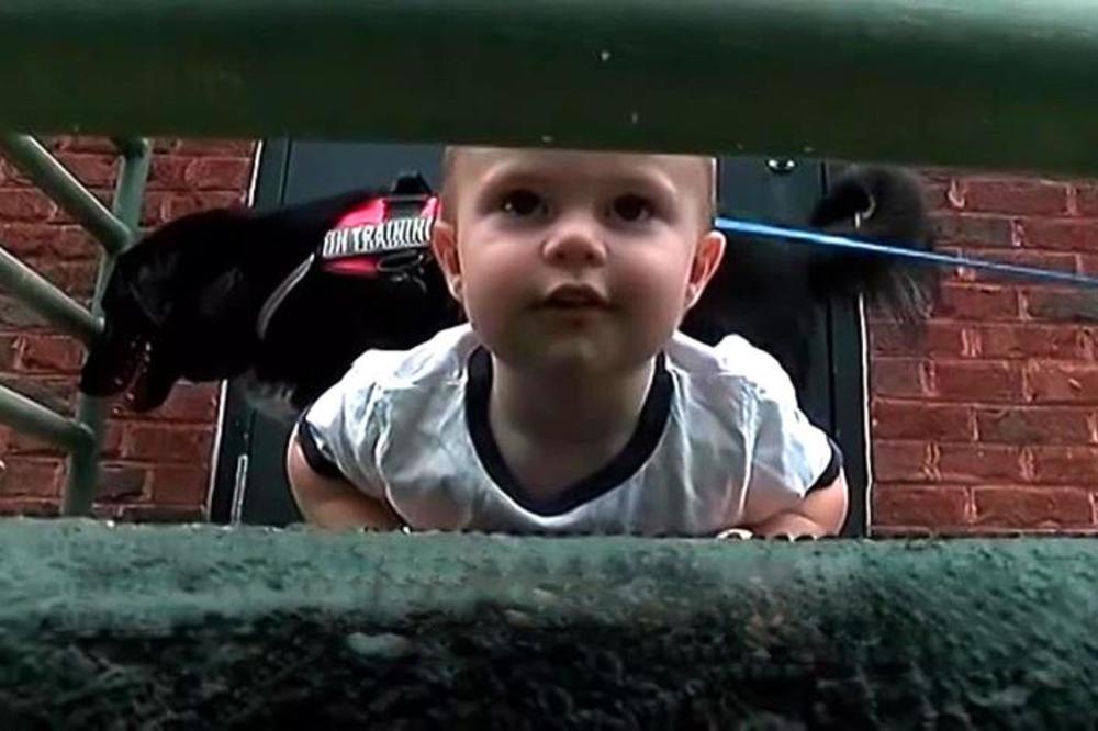 Majka nije ni sumnjala da joj čudovište čuva dete: A onda je pas otkrio strašnu istinu! (FOTO)