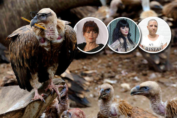 Novinari su najgori ljudi na svetu, kako ih nije sramota? Pismo jednog dečaka nateraće mnoge da stave prst na čelo!