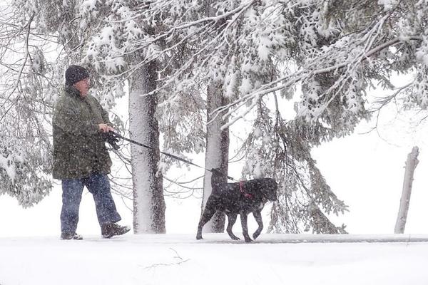 PAO SNEG U SRBIJI, temperatura u minusu, SVE SLUŽBE U PRIPRAVNOSTI!