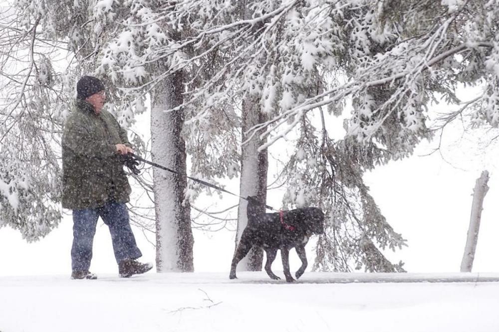PAO SNEG U SRBIJI, temperatura u minusu, SVE SLUŽBE U PRIPRAVNOSTI!