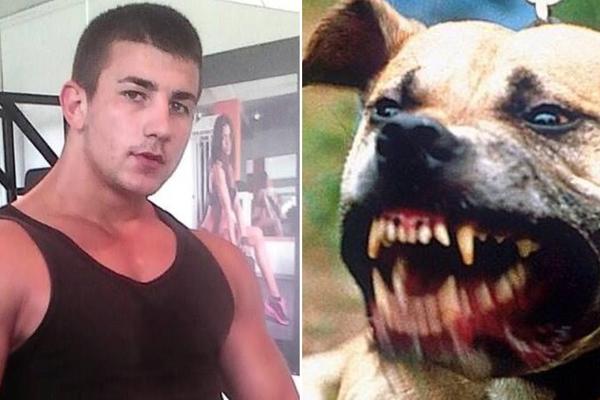 Zovu ga Gvožđe: Na Fejsbuku reklamirao krvave obračune pasa, a za sebe tvrdi da je ljubitelj životinja!