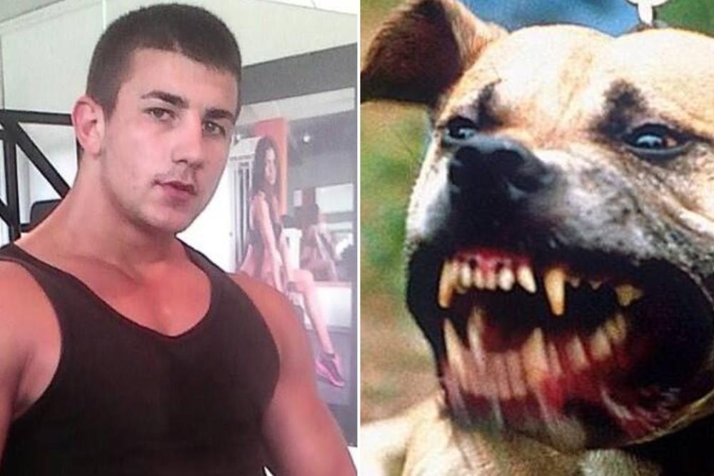 Zovu ga Gvožđe: Na Fejsbuku reklamirao krvave obračune pasa, a za sebe tvrdi da je ljubitelj životinja!