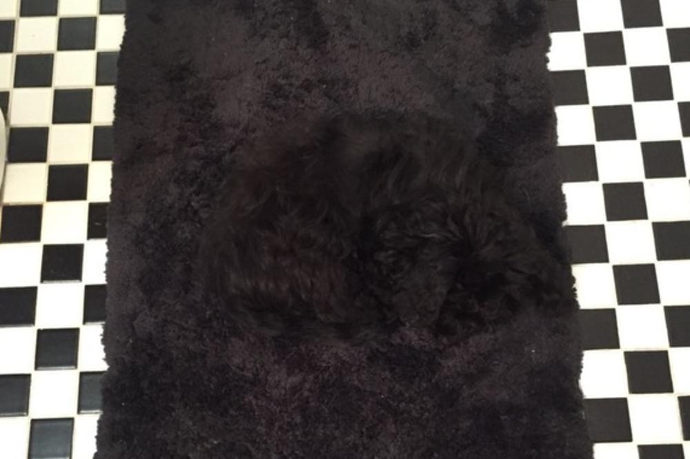 PROTRESITE GLAVU DOK GLEDATE OVU SLIKU: Nećete poverovati šta se dešava! (FOTO)