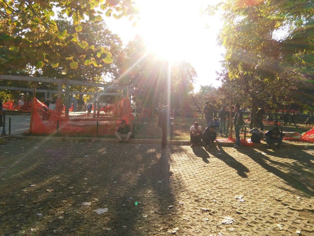 Migranti, Park, Glavna autobuska stanica, Beograd, Ekonomski fakultet