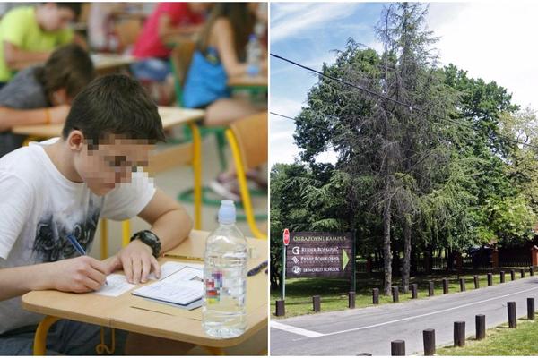 Srbi buržuji šalju decu u privatne gimnazije u kojima je školarina 10.000 evra! Među njima ima i političara!