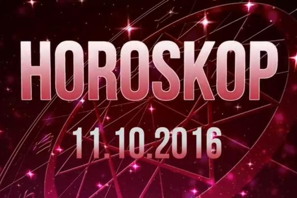 Kreni u ofanzivu, danas je konačno tvoja... (VIDEO)