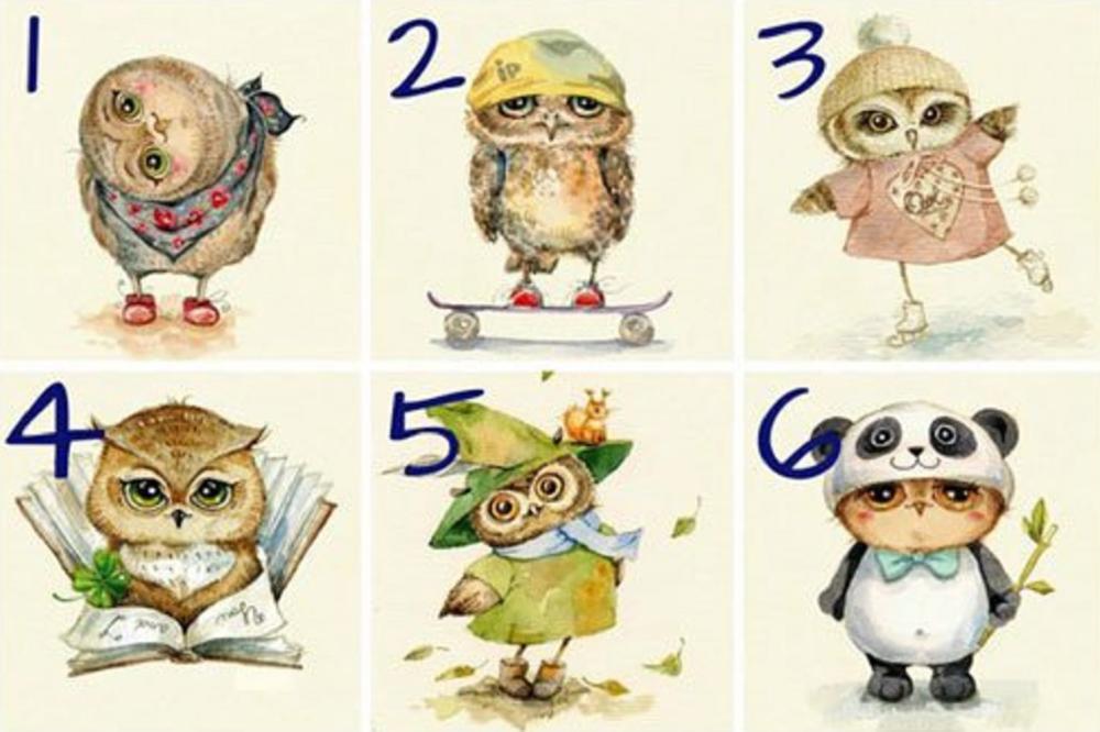Šest otkačenih sovica: Odaberite jednu i saznajte kakvi ste! (FOTO)