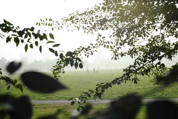 Poledica i magla usporavaju ovog jutra saobraćaj u Srbiji