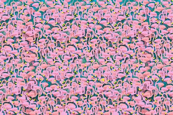 Profesionalci ga reše za 5 sekundi, a koliko vama treba? Pronađi balerinu među flamingosima! (FOTO)