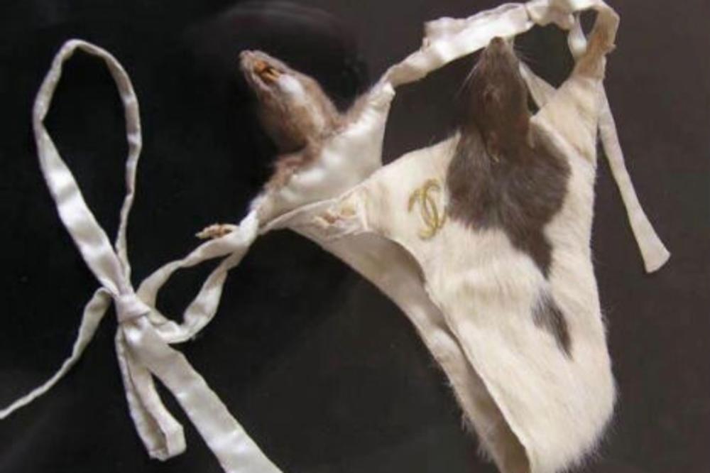 DOBAR POKLON ZA K*RVETINE: Seksi donji veš od glodarske kože!? (FOTO)