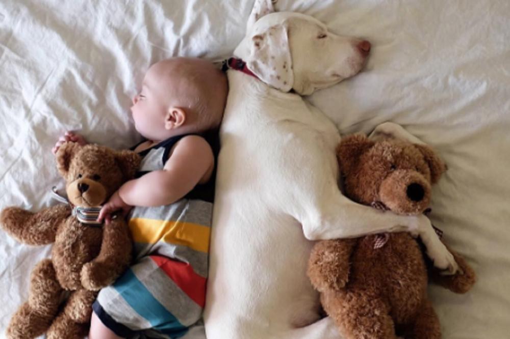 O njihovim snovima priča ceo svet, a vama će ulepšati dan: Da li ste videli nekad nešto slađe? (FOTO)