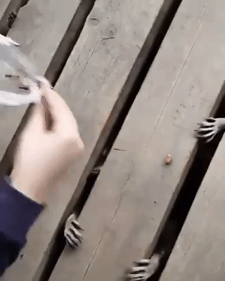 Kakve ovo demonske ruke grabe iz podruma?! Nije košmar, ali bi mogao da postane (VIDEO)