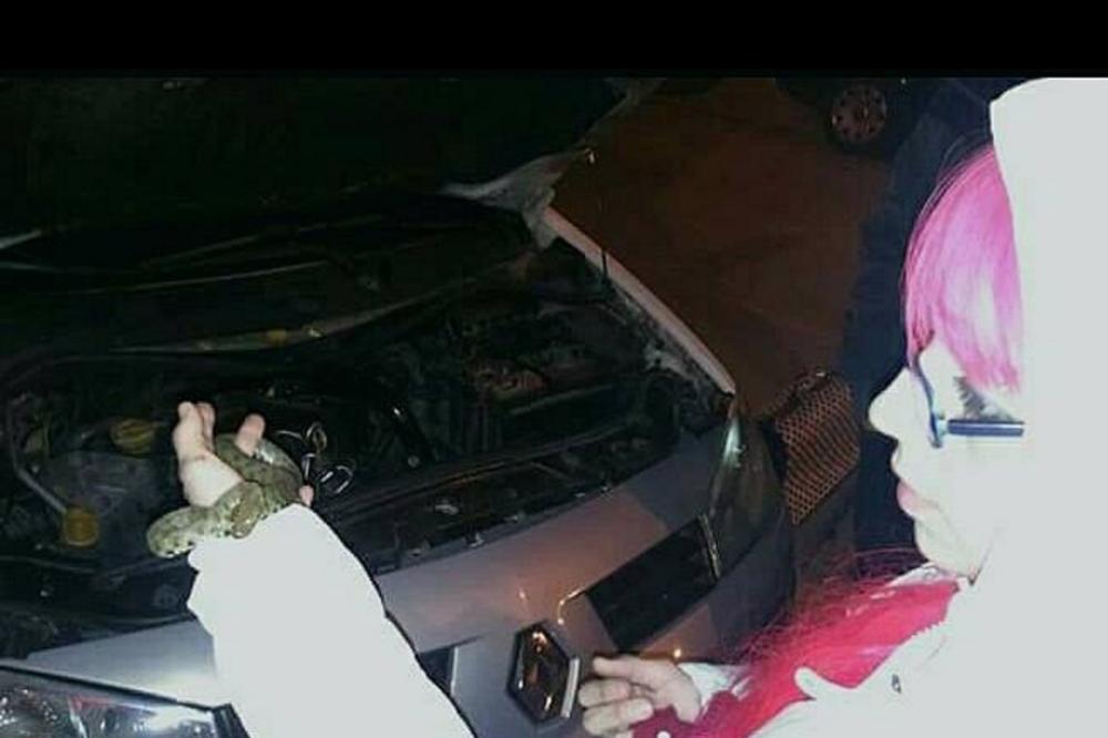 NIŠLIJKI SU NAPISALI DA JOJ JE ZMIJA U AUTOMOBILU: Kad je otvorila haubu, vrisnula je! (FOTO)