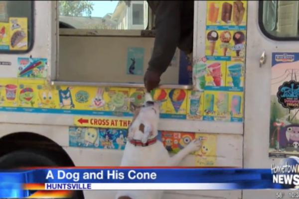 NAJVERNIJA MUŠTERIJA: Kada dođe sladoledžija, on je uvek prvi u redu! (VIDEO)