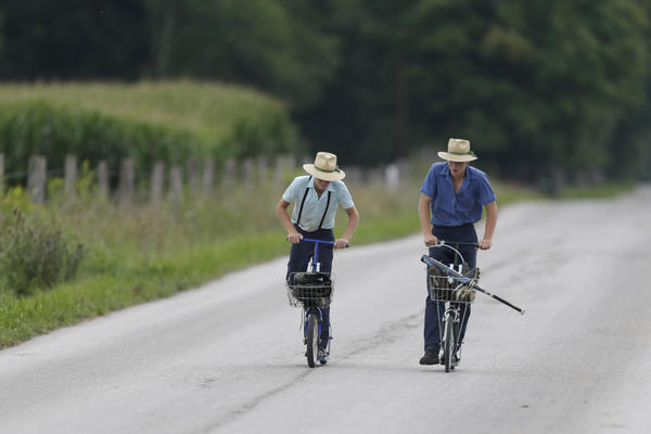 "PRIRODNI LEK AMIŠA": Nema naučnih dokaza o njegovom delovanju