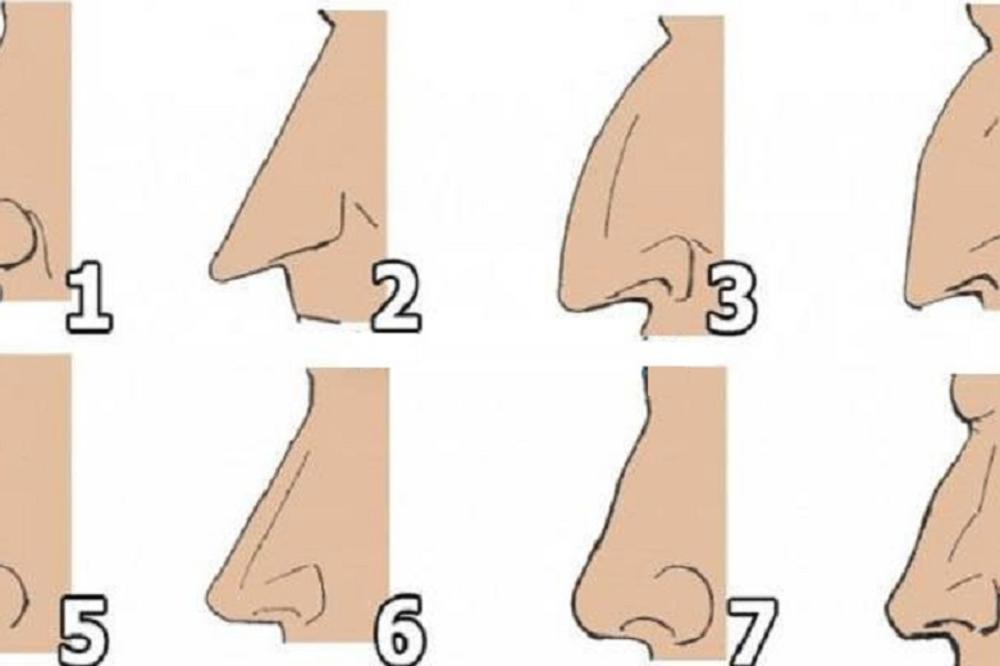 Oblik vašeg nosa govori toliko toga o vama! (FOTO) (GIF)