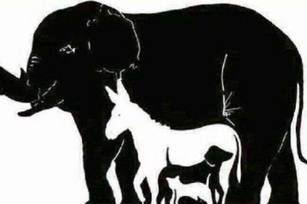 Čitava planeta razbija glavu ovom zagonetkom: Koliko zaista ima životinja na ovoj slici! (FOTO)