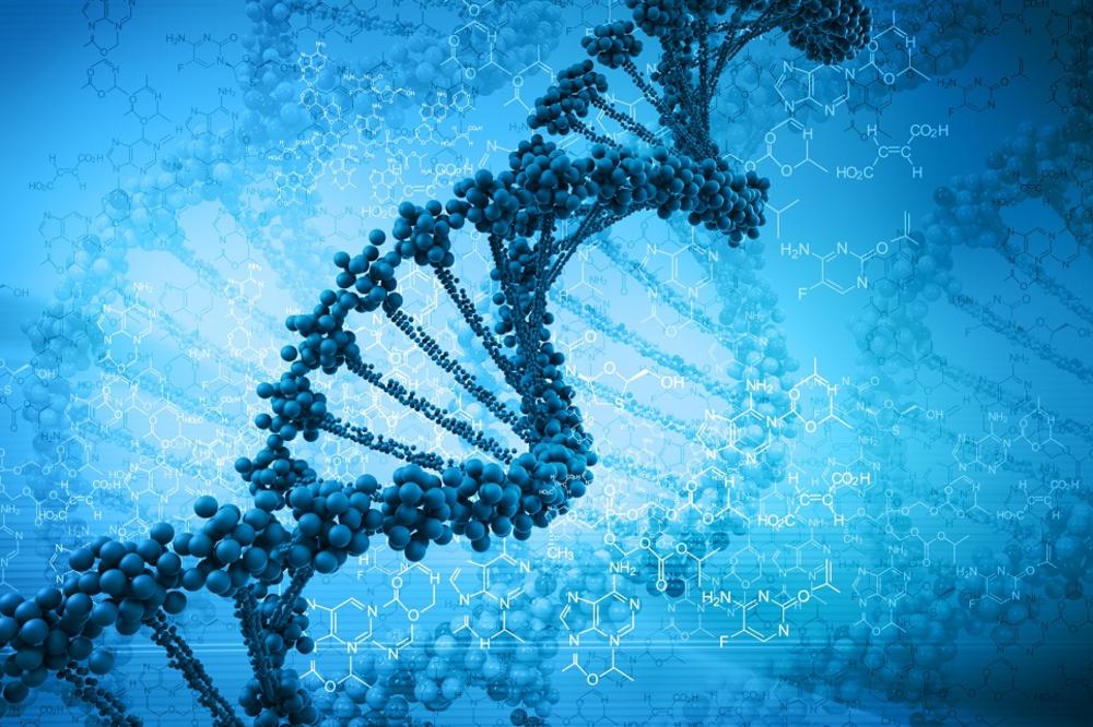 Naučite nešto o DNK od našeg napoznatijeg genetičara, doktora Miodraga Stojkovića (GIF)