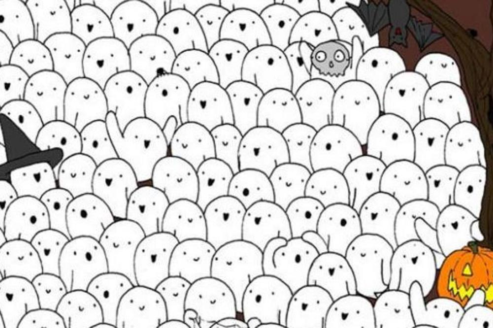 Ako pronađete belog medveda za 5 sekundi, čist ste genijalac! Mislite da je lako? Probajte! (FOTO)