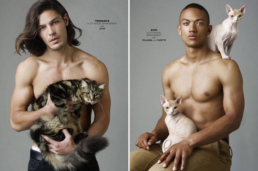 Dame, udahnite duboko i uživajte uz ove VRELE MACANE I NJIHOVE MAČKICE (FOTO)