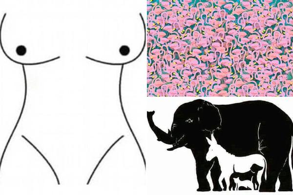 7 optičkih iluzija na koje NIKO NEMA ODGOVOR! Da probate VI? (FOTO) (VIDEO)