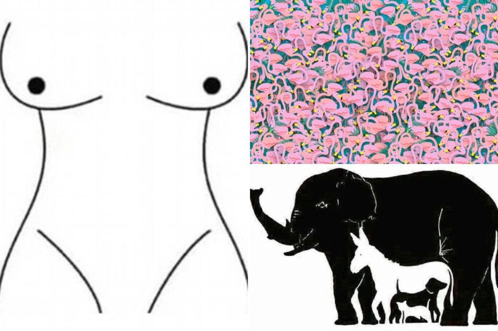 7 optičkih iluzija na koje NIKO NEMA ODGOVOR! Da probate VI? (FOTO) (VIDEO)