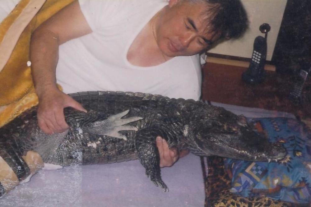 ŽIVI SA KAJMANOM U STANU! Kupa ga, pere mu zube i vodi ga u šetnju po trgovačkim centrima! (FOTO)