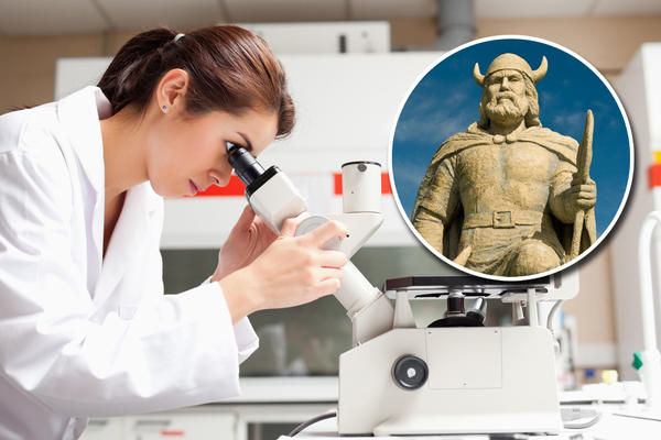 Kolumbo NIJE OTKRIO AMERIKU! DNK otkucao ko ga je preduhitrio 500 godina pre!