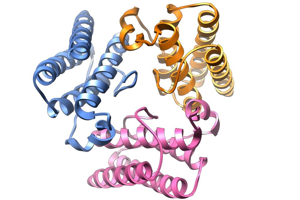 NE IDE VAM MRŠAVLJENJE? Ovaj ženski hormon je GLAVNI KRIVAC! (FOTO)